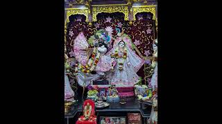 today's darshan from sri radha shyamsundar mandir tirupati