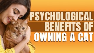 5 Psychological Benefits Of Owning A Cat