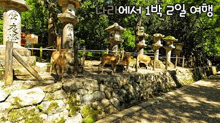 일본 1박2일 나라 여행  - 🇯🇵일본전국여행#22[일본여행 - 나라]