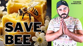 Bee extinction|we're saving the wrong bees|save honey bees|incredible facts about honey bees