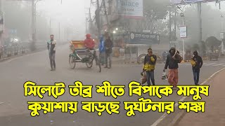 সিলেটে তীব্র শীতে বিপাকে মানুষ, কুয়াশায় বাড়ছে দু*র্ঘ*ট*না*র শ*ঙ্কা || Sylhet Winter || Sylhet News