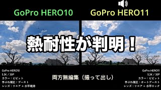 【新旧対決】GoPro HERO11 vs HERO10「色味や手ぶれ補正、そして熱に強いのはどっちだ？」