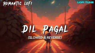 Dil Paagal (Slowed + Reverb) Laqshay Kapoor @tseries