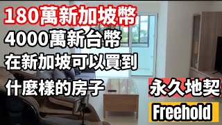 新加坡政府組屋與私人住宅（永久地契）Free Hold 有什麼不同？價格差異很大的原因是什麼？180萬新幣可以買到什麼樣的房子？