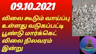 விலை கூடும் வாய்ப்பு உள்ளது வடுகப்பட்டி பூண்டு மார்க்கெட் விலை நிலவரம் இன்று vadugai 2021