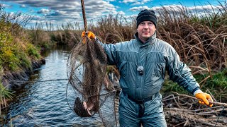 A Forgotten Way of Cooking Fish Over Open Fire in the Wild