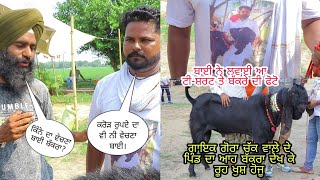 ਲੱਖਾਂ ਰੁਪਏ ਵਿੱਚ ਵੀ ਨਹੀਂ ਵੇਚਣਾ ਬੱਕਰਾ beetal goat। lehra bega Bakri mandi ,(ilti Lana TV #bakramandi