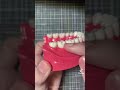 cara guna floss gigi how to use teeth floss u0026