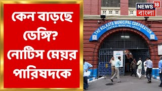 Dengue : রাজ্যে ক্রমেই বাড়ছে ডেঙ্গি আতঙ্ক, এবার মেয়র পরিষদকে নোটিস পুরসভার । Bangla News