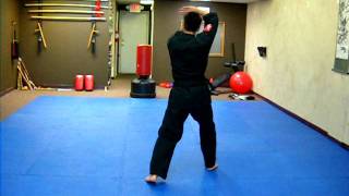 Stature of the Crane - Kempo form