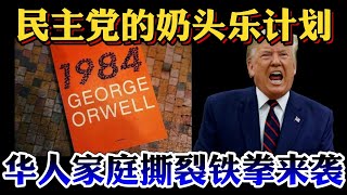 #美国大选 #选票门 民主党的奶头乐计划爽歪歪！现实版1984动物农庄，你们被圈养在猪圈！华人家庭撕裂互相批斗，民主党的社会主义铁拳爽歪歪！特朗普给予你们自由你们不要，你们要做猪！神在安排一切！