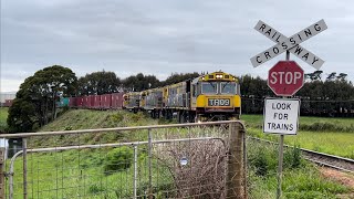 TasRail TR09 TR10 TR12 #36 train Don Hill