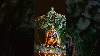 Karthigai Deepam Arulmigu Preethiswarar Kovil Chinna chitteri