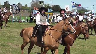 Desfile Gaucho campo \