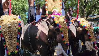 Final moments of Panchvadyam @ chitturkavu pazhayannurkavu nirmala 2022