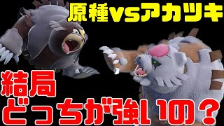 原種ガチグマvsアカツキガチグマ、どっちが強いのか徹底考察！おすすめ育成論も紹介！【ポケモンSV　碧の仮面】