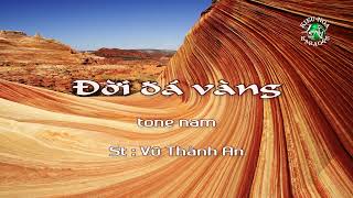 Đời đá vàng - Karaoke tone Nam