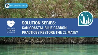 Solution Series: Can Coastal Blue Carbon Practices Restore the Climate?