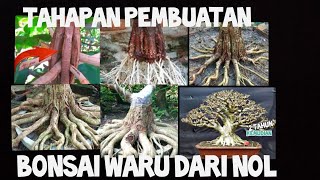 Inspirasi tahapan proses pembuatan bonsai waru dari nol hingga siap kontes