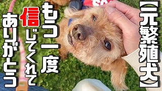 【保護犬】もう一度信じてくれてありがとう。幸せの寄せ書きでチャリティーグッズが完成しました「vol 316」