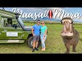 Hippo Paradise / Best Family Friendly Safari Camp In The Maasai Mara Kenya 🇰🇪