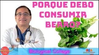 Porque Debo Consumir Berro?