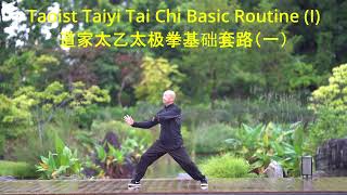 Taoist Taiyi Tai Chi Basic Routine（ fa jin 1）#tai_chi_chuan #taoistwisdom