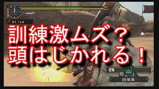 【MHP2G】フルフル訓練所　激ムズ？　大剣がはじかれる件