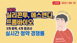 2일차 실시간 경쟁률 업데이트 - 실리콘투, 프롬바이오, 에스앤디