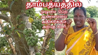 இதில் ஒரு கனி போதும் ஆண்மை பல மடங்கு அதிகரிக்கும்