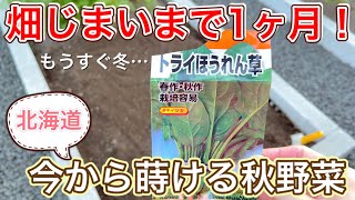 【北海道秋まき】1ヶ月だけ育てる秋まき野菜 ～畑じまいまで1ヶ月！～