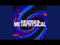 The World Is Metaphysical