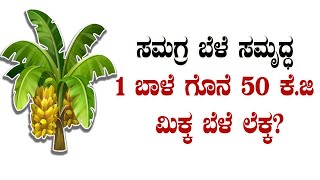 Integrated farming, Drumstick, Papaya, Coconut, Banana| ನುಗ್ಗೆ, ಪರಂಗಿ, ತೆಂಗು, ಬಾಳೆ ಸಮಗ್ರ ಬೆಳೆಗಳ ಹೂರಣ