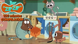 Zip Zip *100min* Season 1 - COMPILATION HD [Official] Cartoon for kids