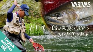 【VARIVAS FLY FISHING】Early Summer Challenge – Keiichiro Iwai vs. Wary Yamame in Mountain Streams