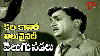 Telugu Old Songs | Velugu Needalu Songs | kalakaanidi Viluvainadi | ANR | Savitri - Old Telugu Songs