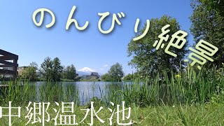 【お蔵出し　19/05撮影】中郷温水池　のんびり絶景を眺めたよ！