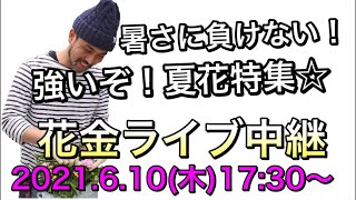 明日は花いっぱいの【花金】