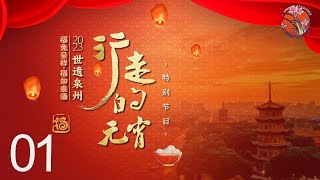 【云端泉州灯会】板凳龙盘旋，五彩灯笼闪耀，你来过闽南年吗？#泉州 #元宵節