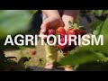 Agritourism - An Industry, Culture, and a Community