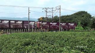 東海道本線　大垣　－　関ヶ原　2011/08撮影　EF200