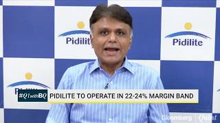 How Does Pidilite Plan To Capitalise On Lower Input Cost ?