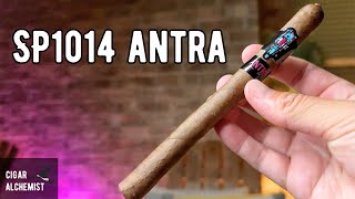 Sanj Patel SP1014 Antra Review