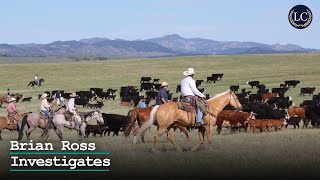 Brian Ross Investigates: Meat Packers Accused of Conspiring Against Ranchers