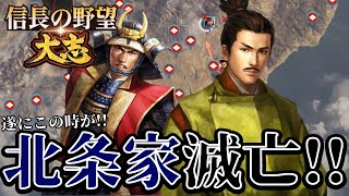 「これで東日本統一！北条家、滅亡！！」【信長の野望・大志PK】【武田勝頼：超級\u0026合戦は騎馬隊のみプレイ】 #20