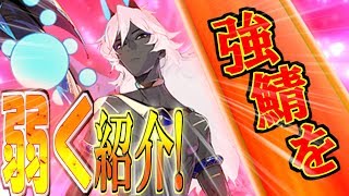 強いサーヴァントを弱く紹介してみた！バーサーカー編「ゆっくりFGO」