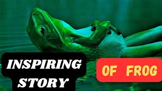 THE INSPIRING STORY OF A FROG||IF YOU GIVE UP ,YOU DIE#inspiring#motivational