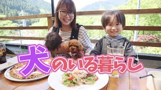 ルーティン【トイプードル】犬のいる暮らし！とある平和な昼下がり〜山へお散歩＆ランチ〜