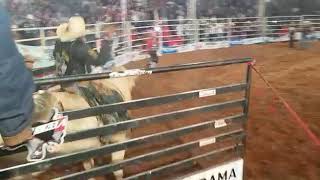 Campeão  do Rodeio da Expo Pérola PR 2019