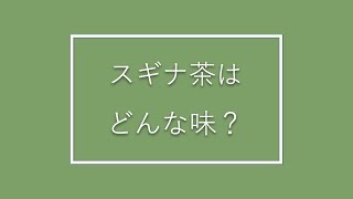 スギナ茶はどんな味？ | 湯布院産スギナ茶専門店 The Sugina Life